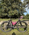 Ridley x fire photo