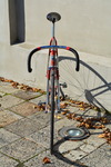 RIH-sport (for sale) photo
