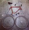 RIH-sport (for sale) photo
