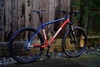 Ritchey 650b photo