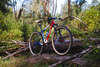 Ritchey P-29er photo