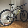 Ritchey P-29er photo