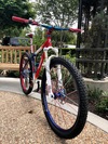 Ritchey P29er Singlespeed - " Murica " photo