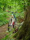 Ritchey P650B photo