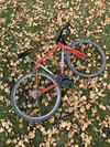 Ritchey Swiss Cross photo