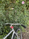 Rivendell Quickbeam Work Bike photo Rivendell Quickbeam Work Bike photo