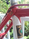 Roberts Cycles custom steel road Tandem photo