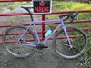 Rock Lobster Steel SSCX photo