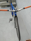 Rock Lobster Track photo