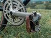 Rossin Adventure 26 photo