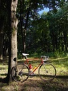 Rossin (early 90s) photo