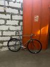 Rossin Pista photo