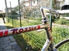 Rossin pista GPM Cronospecial photo