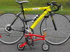 2001 Runt Bike photo