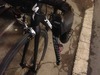 S-Works Tarmac photo