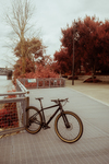 Salsa Journeyer photo