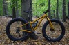 Salsa mukluk Fat bike photo