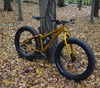 Salsa mukluk Fat bike photo