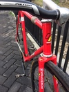 Samson Chilly Red NJS photo