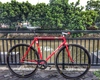 Samson Chilly Red NJS photo