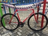 Samson Chilly Red NJS photo