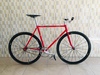 Samson Chilly Red NJS photo