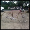 SAMSON Fully NJS photo