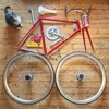 Samson Illusion- Satin red sparkly NJS photo