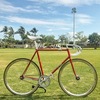 Samson Illusion- Satin red sparkly NJS photo