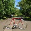 Samson Illusion- Satin red sparkly NJS photo