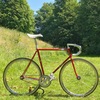 Samson Illusion- Satin red sparkly NJS photo