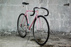 Samson NJS Pink Pearl photo