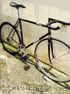 Samson NJS Black/Rainbow Flake photo