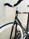 Samson NJS Black/Rainbow Flake photo