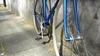 Samson NJS keirin- metallic blue photo