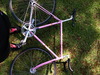 Samson NJS Pink Pearl photo