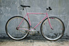 Samson NJS Pink Pearl photo