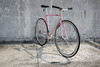 Samson NJS Pink Pearl photo