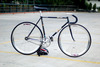 Samson NJS Rainbow Sparkles photo