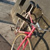 Samson NJS Sakura Pink white fade photo