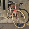 Samson NJS Sakura Pink white fade photo