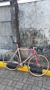 Samson NJS Sakura Pink white fade photo