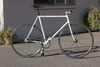 Samson sparsely sparkley cream NJS photo