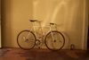 Samson sparsely sparkley cream NJS photo