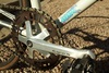 Samson sparsely sparkley cream NJS photo