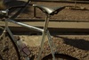 Samson sparsely sparkley cream NJS photo