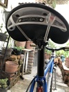 Sannino photo