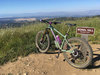 Santa Cruz Chameleon photo