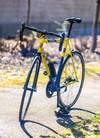 Scapin KR - Ukraine Olympic colours photo