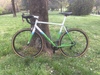 Scapin R8 photo